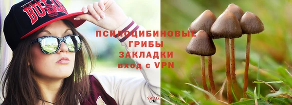 МДПВ Вязьма