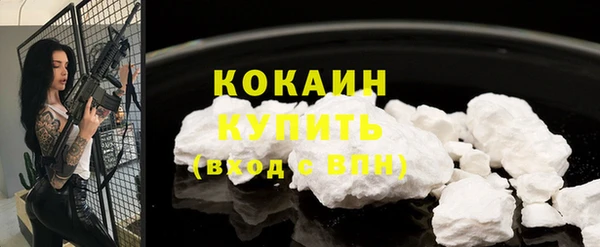 МДПВ Вяземский