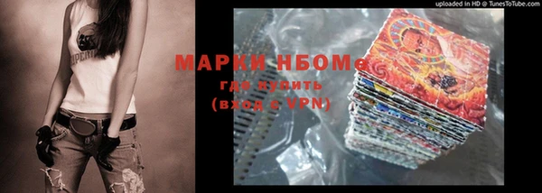 индика Вязники