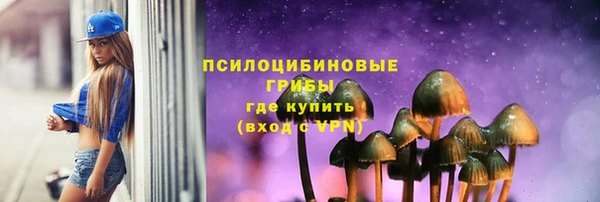 МДПВ Вязьма