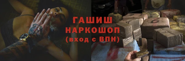 индика Вязники