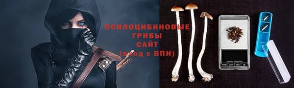 МДПВ Вязьма