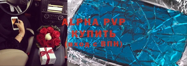 индика Вязники