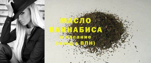 индика Вязники