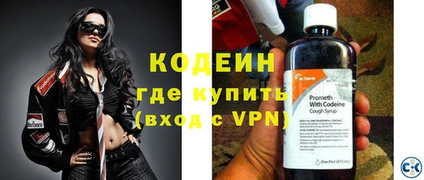 индика Вязники