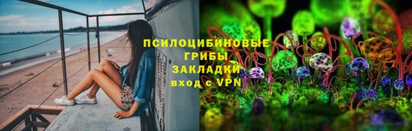 индика Вязники
