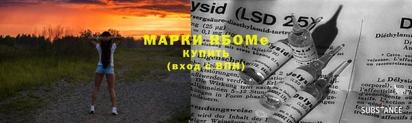 МДПВ Вяземский