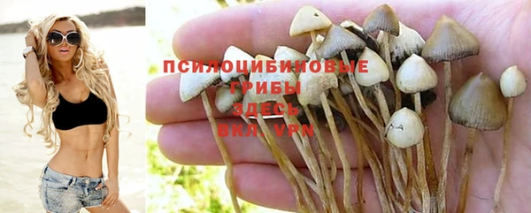 МДПВ Вяземский