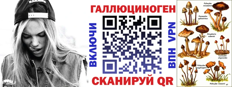 Псилоцибиновые грибы мицелий  Купить  Николаевск-на-Амуре 